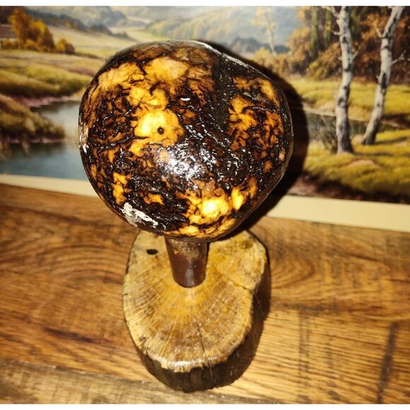 Handcrafted Mushroom/Tree Art Made from Small Live Oak Burl - Unique and Rustic - Picture 5 of 11